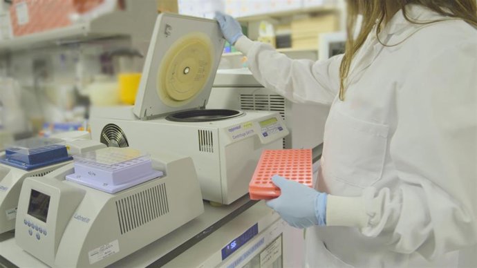 Imagen de la investigación.