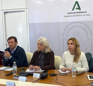 La presidenta de la Diputación con la delegada de la Junta en Cádiz y el subdelegdo en el Campo de Gibraltar en la reunión del comité del Plan de Emergencias de Andalucía.