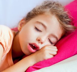 notibrasil sociedade