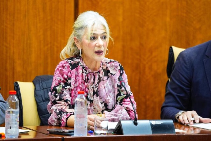 La consejera de Cultura y Deporte, Patricia del Pozo, en la comisión parlamentaria del 3 de febrero de 2026.