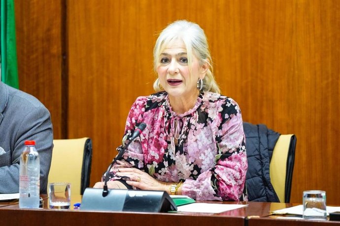 La consejera de Cultura y Deporte de la Junta de Andalucía, Patricia del Pozo, en la comisión de cultura del 3 de febrero de 2026.