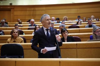 El ministro del Interior, Fernando Grande-Marlaska, interviene durante una sesión plenaria en el Senado. 