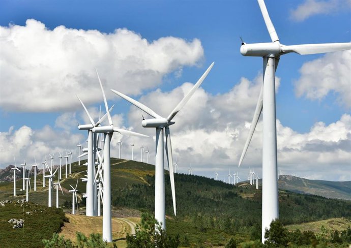 Archivo - Parque eólico. 