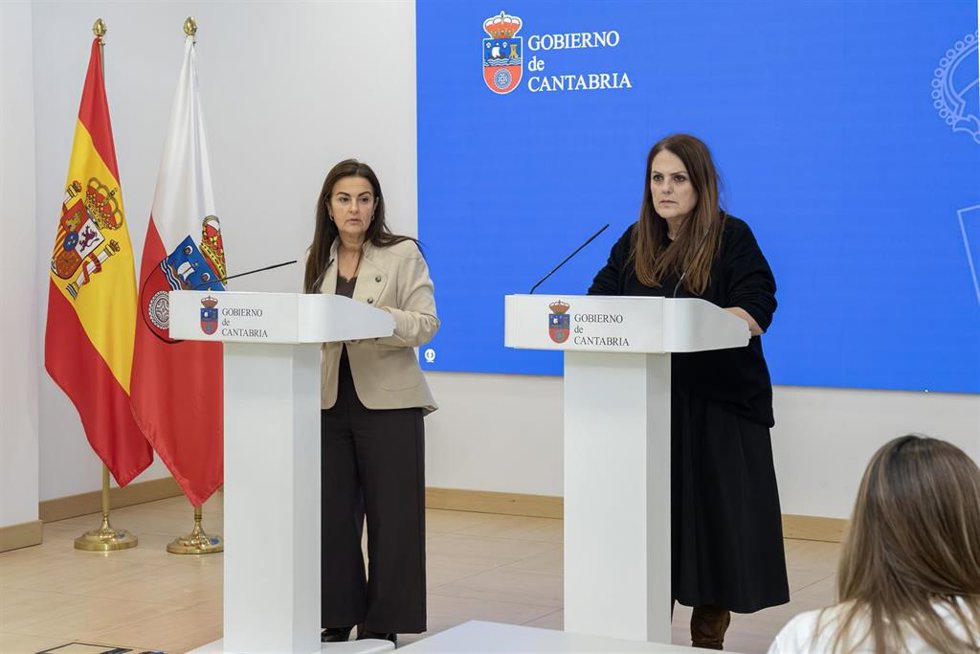 Gómez del Río durante la rueda de prensa