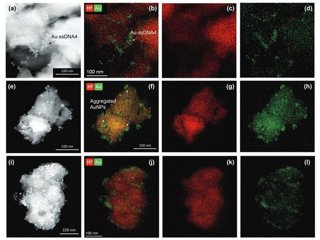 Archivo - Test rápido viruela del mono