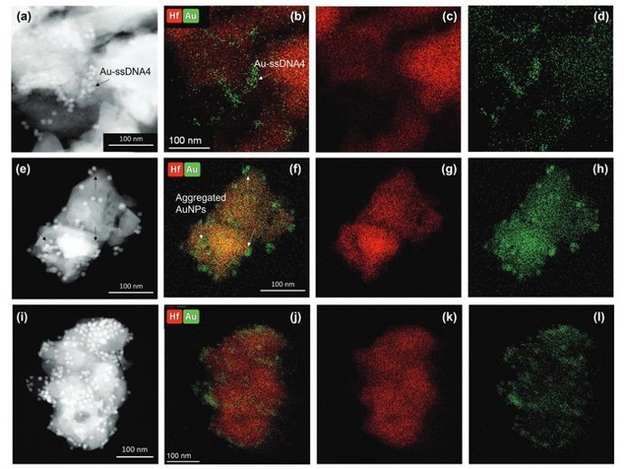 Archivo - Arquivo - Test rápido vexigas do mono