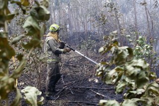 Archivo - Bomberos trabajan en las tareas de extinción del incendio forestal en Cervo, a 5 de noviembre de 2025, en Cervo, Lugo, Galicia (España). 