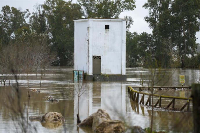 Imágenes del río Guadalete a su paso por la barriada de la Corta. 