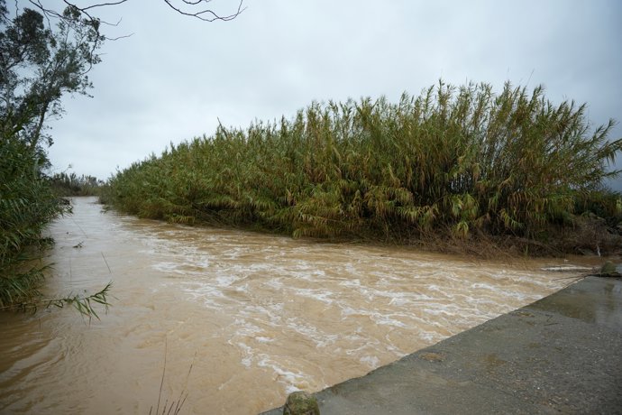 La crecida del arroyo Miraflores en Sevilla obliga al cierre de una vía al tráfico por inundación de la calzada. 