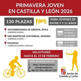 Gráfico difundido por la Junta con los plazos y datos sobre el programa 'Primavera Joven'