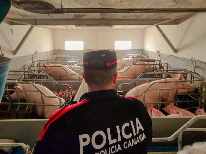 Un agente de la Policía Canaria realiza una inspecciónm en una instalación ganadera en Tenerife