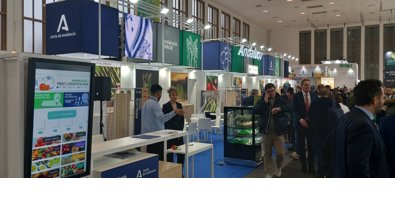 Es Andalucía - Sevilla