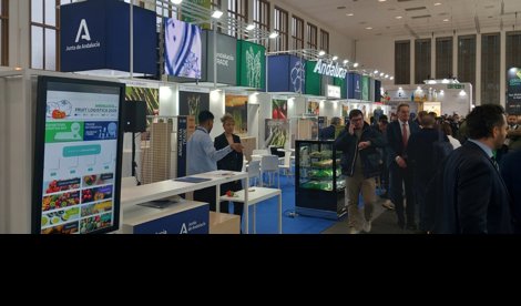 Es Andalucía - Sevilla