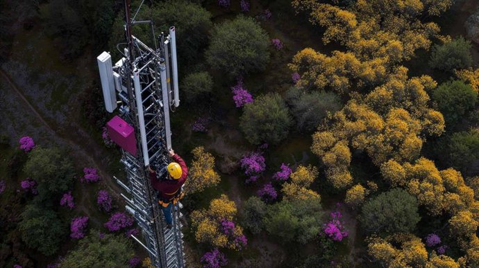 Archivo - Nae, empresa de Minsait, publica la edición T2-2025 del barómetro de las telecomunicaciones en Colombia