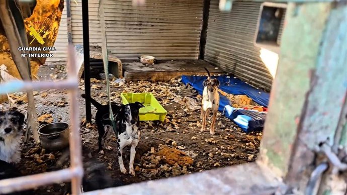 Vídeo de la noticia