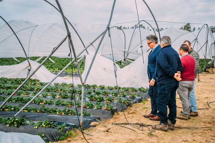 El portavoz de Vox en el Parlamento andaluz, Manuel Gavira