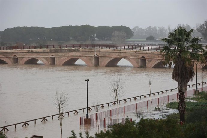 El río Guadalete desborda sus márgenes a su paso por la zona de Las Pachecas en Jerez.