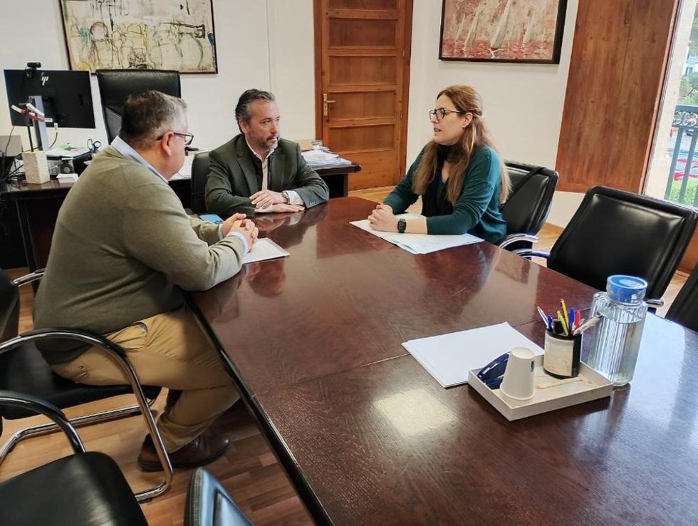El conseller de Territorio, Movilidad e Infraestructuras del Consell de Mallorca, Fernando Rubio, reunido con los representantes de Habtur.