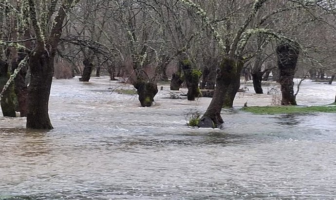 Desbordamiento del río Guadiana en el término municipal de Retuerta del Bullaque.