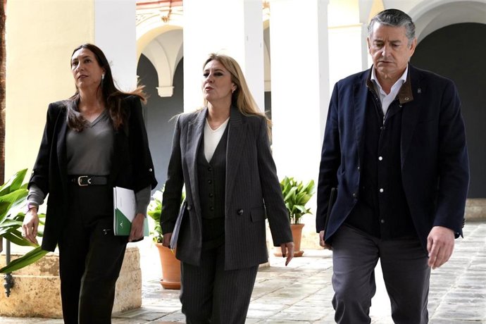 La consejera de Economía, Hacienda y Fondos Europeos  y portavoz del Gobierno, Carolina España ; el consejero de Sanidad, Presidencia, y Emergencias, Antonio Sanz y  la consejeras de Inclusión Social y de Desarrollo Educativo, Loles López.