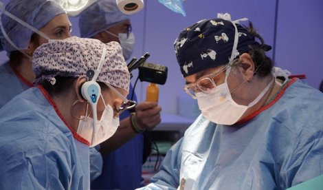 notibrasil sociedade