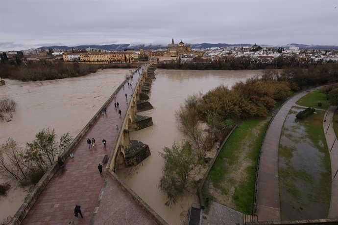 El río Guadalquivir presenta una importante crecida de caudal a su paso por Córdoba capital tras haber sido barrida por la borrasca Leonardo. A 4 de febrero de 2026 en Córdoba (Andalucía, España). La provincia de Córdoba presenta ante el temporal de lluvi