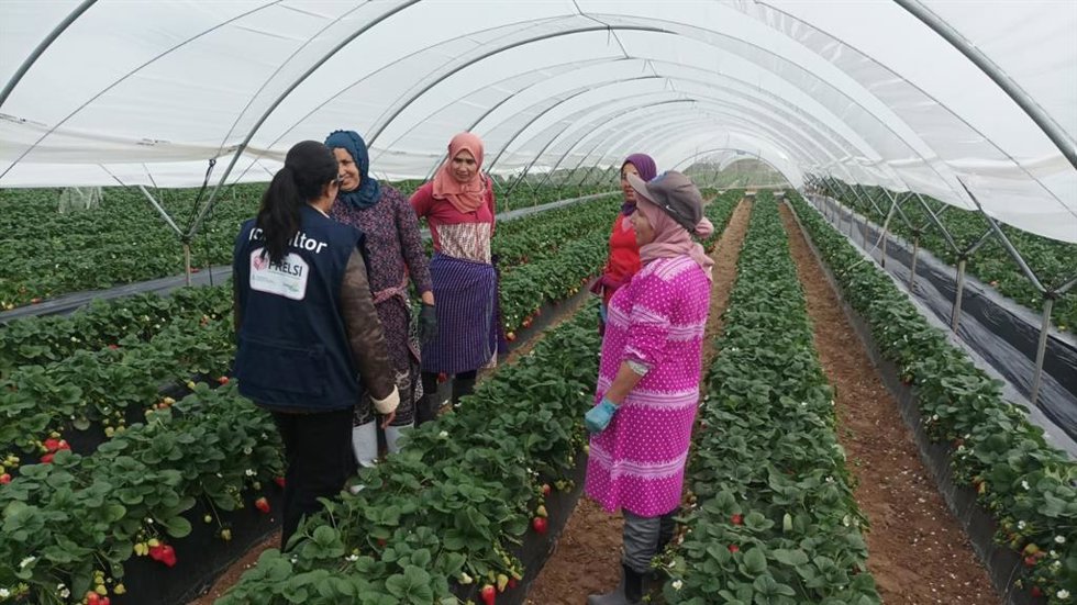 Archivo - Miembro del Prelsi en una visita a temporeras de la campaña agrícola de Huelva.