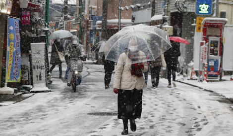 notibrasil sociedade