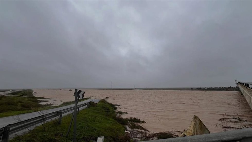 Situación del río Guadalquivir en Las Cabezas de San Juan (Sevilla).