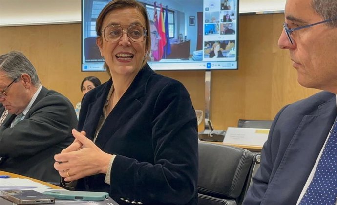La presidenta de la Federación Regional de Municiipios y Provincias de Castilla y León y de la Diputación de Palencia, Ángeles Armisén, durante la reunión de la Comisión Interministerial.