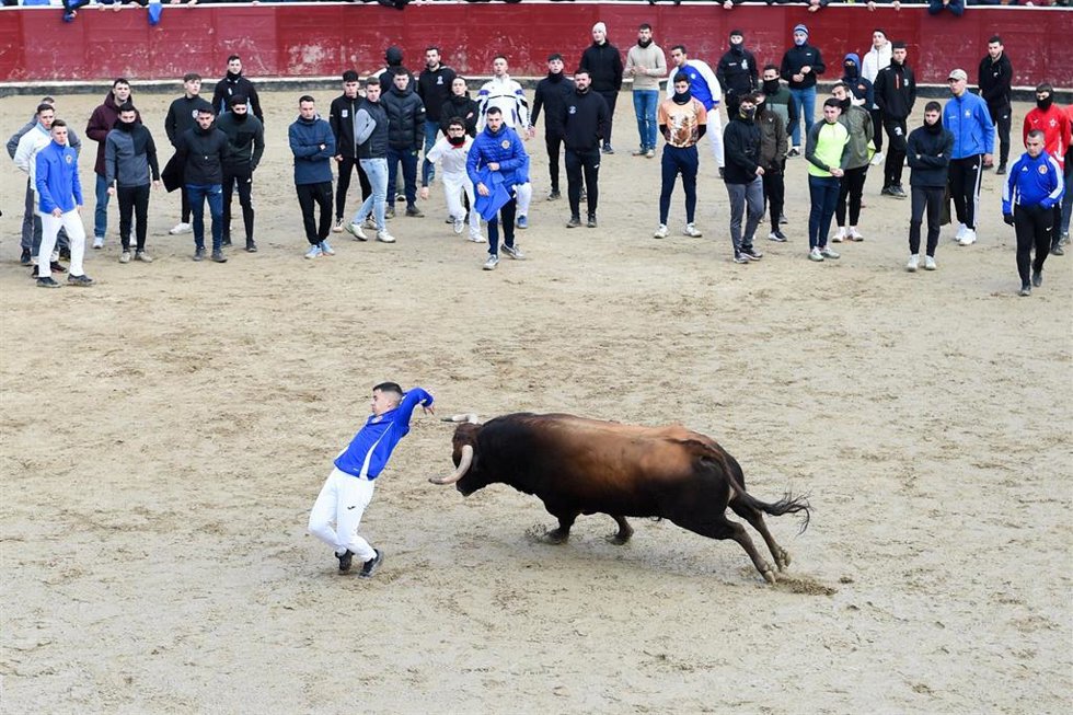 Corredor torea en la plaza de toros durante uno de los encierros blancos de San Sebastián de los Reyes, a 18 de enero de 2026, en San Sebastián de los Reyes, Madrid (España). 