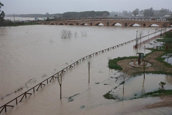 El río Guadalete desborda sus márgenes a su paso por la zona de Las Pachecas en Jerez de la Frontera (Cádiz) provocando importantes inundaciones. A 4 de febrero de 2026, en Jerez de la Frontera, Cádiz (Andalucía, España). 