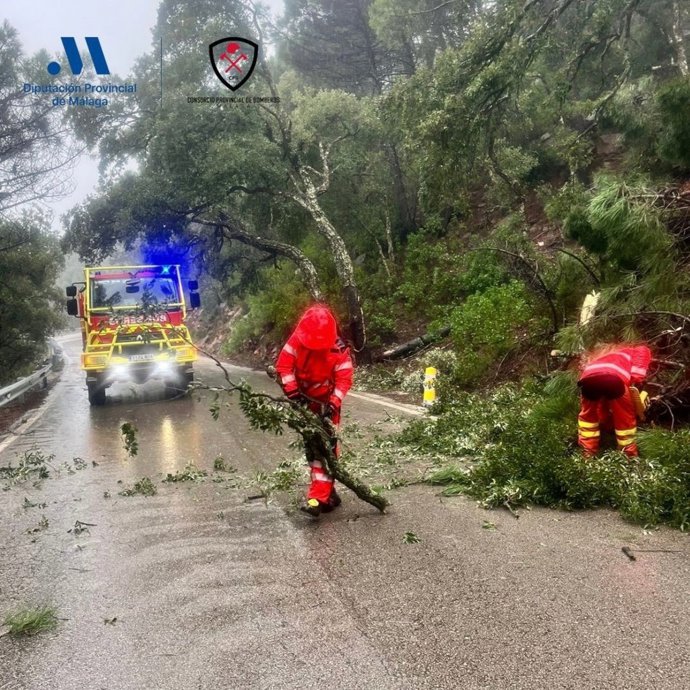 Efectivos del CPB intervienen en la retirada de árboles tras el paso de la borrasca