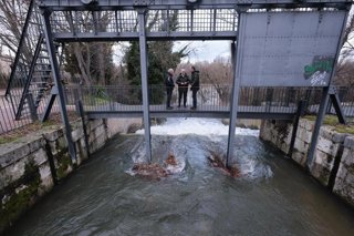 El alcalde de Valladolid, Jesús Julio Carnero, visita el Esgueva en la confluencia con el Pisuerga a la vista de la situación temporal