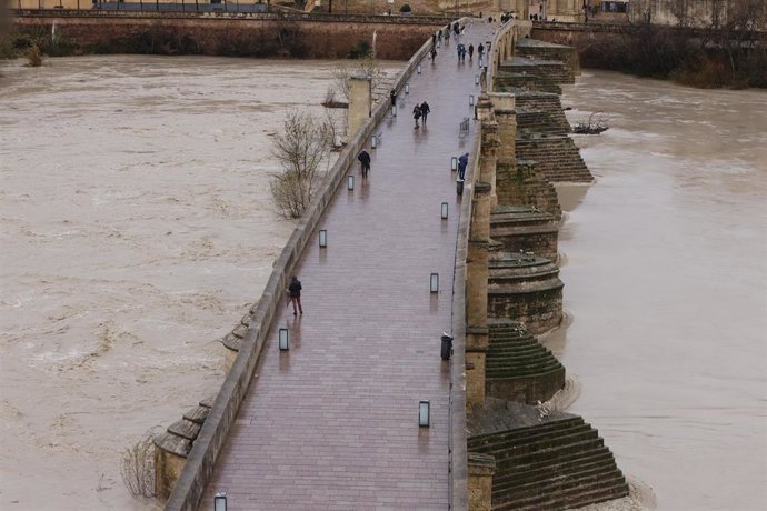 El río Guadalquivir presenta una importante crecida de caudal a su paso por Córdoba capital tras haber sido barrida por la borrasca Leonardo. 