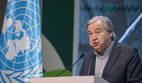 notibrasil política