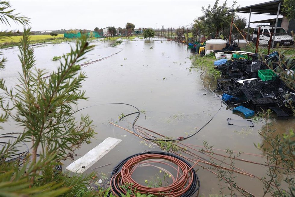 Explotaciones agrícolas inundadas tras el desbordamiento del río Guadalete a su paso por la localidad gaditana de Jerez de la Frontera. A 4 de febrero de 2026, en Jerez de la Frontera, Cádiz (Andalucía, España). 