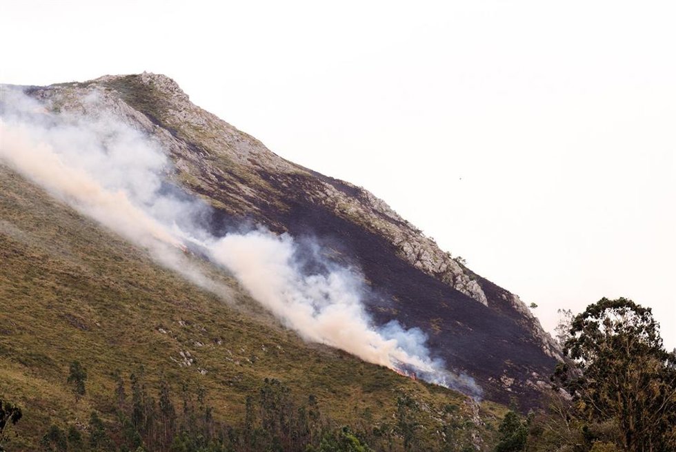 Archivo - Incendio forestal. Imagen de archivo