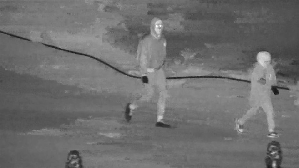 Dos personas captadas por una cámara de vigilancia en relación con un robo en una vivienda de Cuevas del Almanzora (Almería).