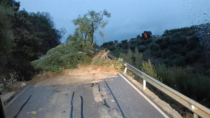 Deslizamiento de un talud en la CO-6213.