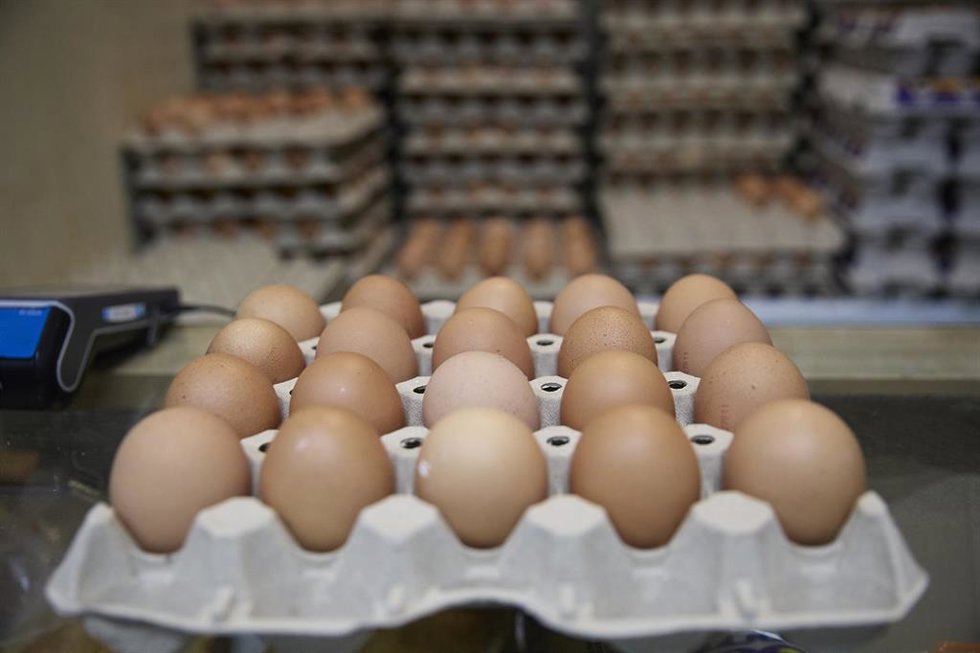 Archivo - Huevos en una tienda