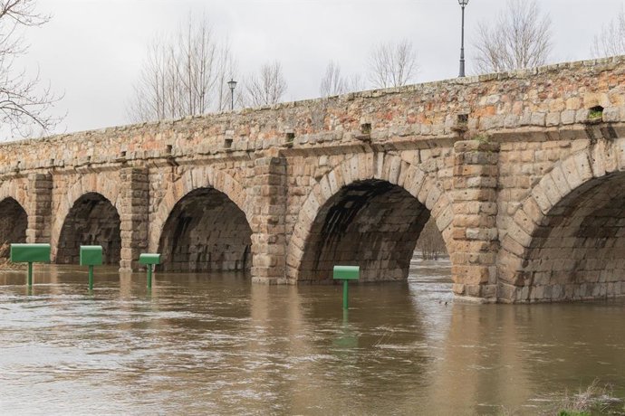 El PSOE de Salamanca reclama al Ayuntamiento y la Junta un plan de mantenimiento anual para el Puente Romano