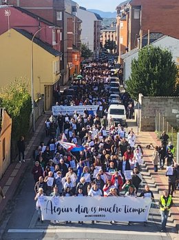 Imagen de una de las manifestaciones convocadas por OncoBierzo en defensa de la sanidad pública.