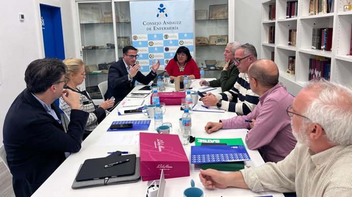 Reunión entre Satse y el CAE.