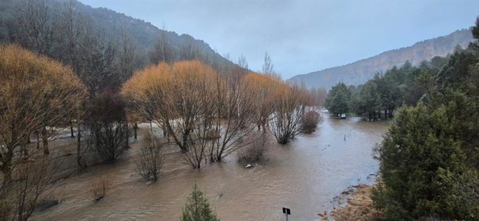 Situación del río Lobos, en el Cañón del Río Lobos (Soria), en la mañana de este jueves.