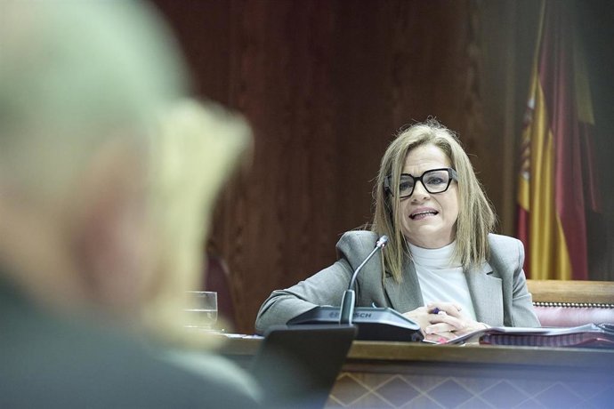 La Delegada del Gobierno en la Comunitat Valenciana, Pilar Bernabé, comparece ante la Comisión de Investigación sobre las circunstancias que influyeron en la catástrofe sufrida como consecuencia de la dana del pasado 29 de octubre de 2024