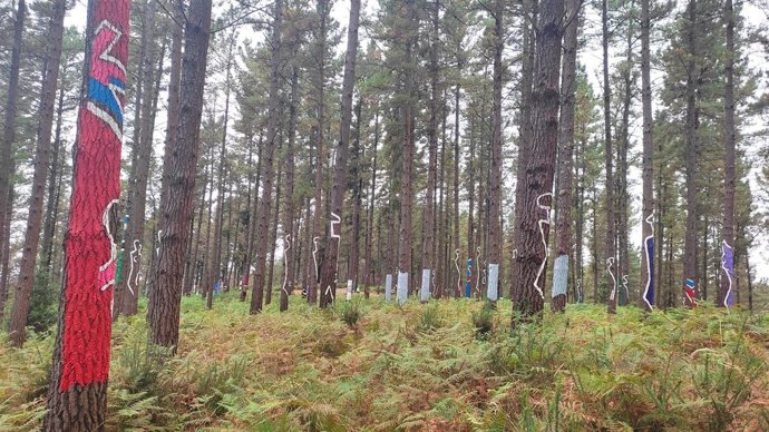 Archivo - Omako basoa