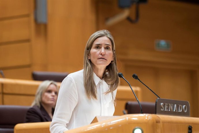 La vicepresidenta tercera y ministra para la Transición Ecológica, Sara Aagesen, durante una sesión plenaria extraordinaria, en el Senado,a 15 de enero de 2026, en Madrid (España). El Senado celebra este pleno extraordinario con las comparecencias de Mont