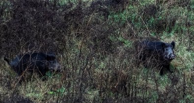 EpAgro - Agricultura