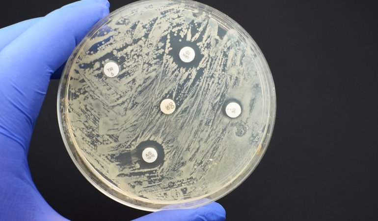 notibrasil sociedade